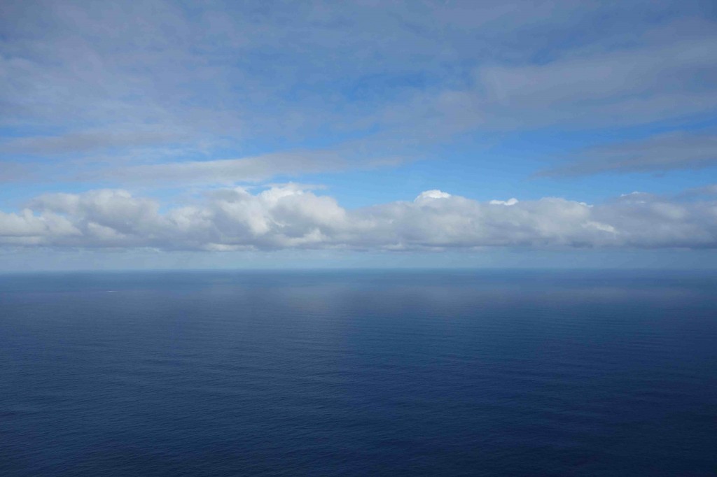 MIHS MEL FINAL OCEAN ACIDIFICATION preview image