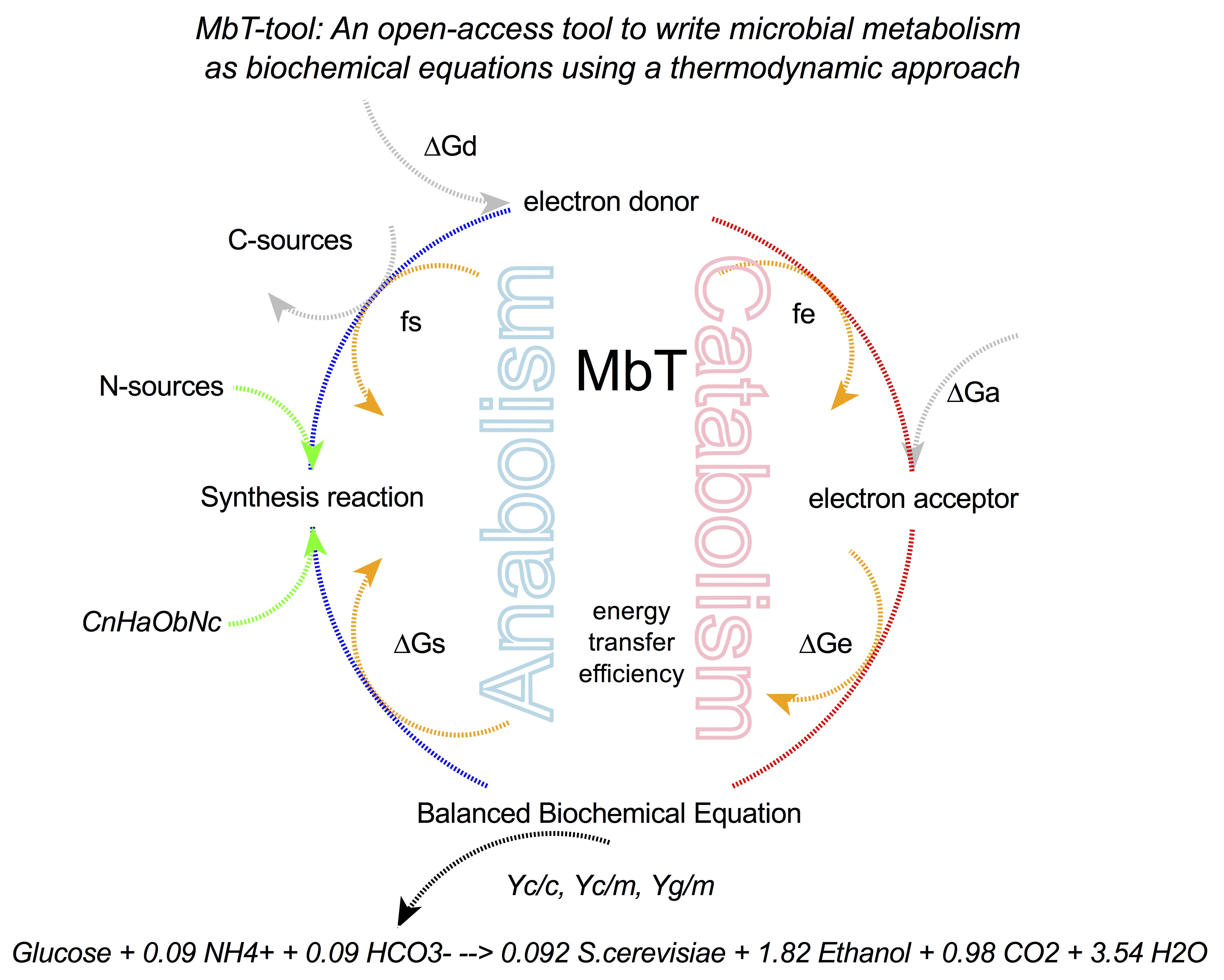 MbT-Tool: Metabolism based on Thermodynamics preview image