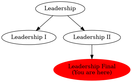 Graph of models related to 'Leadership Final' 