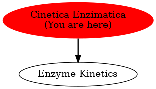 Graph of models related to 'Cinetica Enzimatica' 