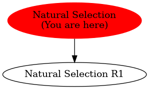 Graph of models related to 'Natural Selection' 