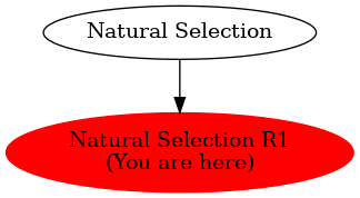 Graph of models related to 'Natural Selection R1' 