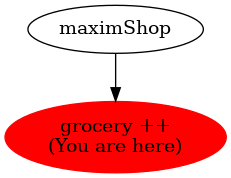 Graph of models related to 'grocery ++' 