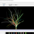 MIHS-Make_A_Tree preview image