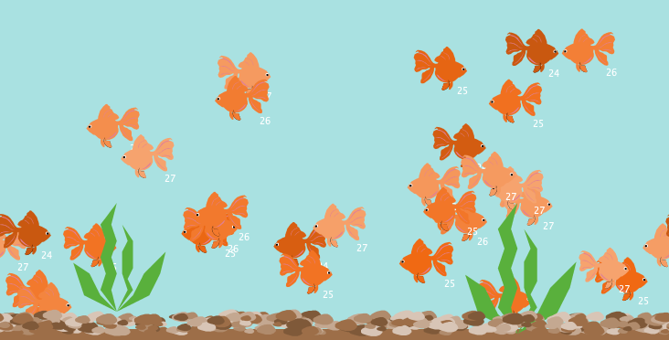 Goldfish breeding-Artificial selection preview image