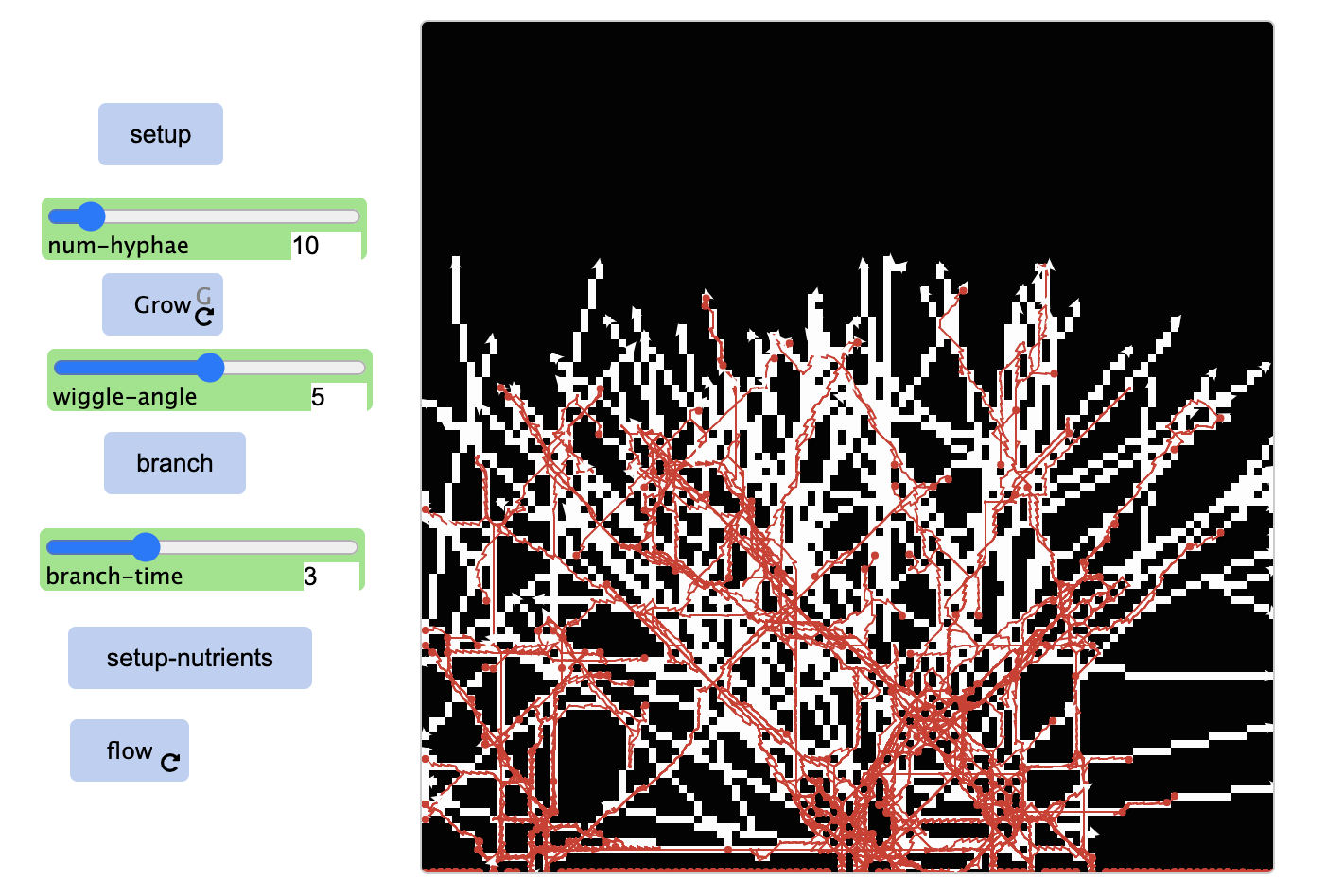 Mycelium growth preview image