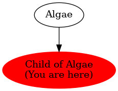 Graph of models related to 'Child of Algae' 