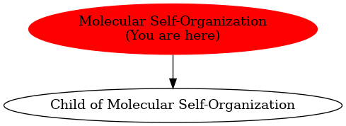 Graph of models related to 'Molecular Self-Organization' 