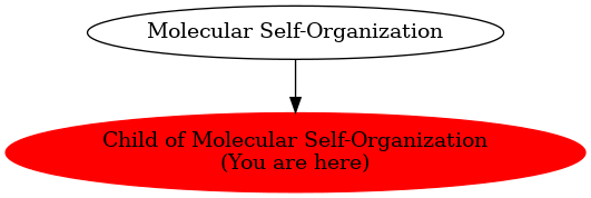 Graph of models related to 'Child of Molecular Self-Organization' 
