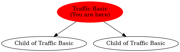 Graph of models related to 'Traffic Basic' 