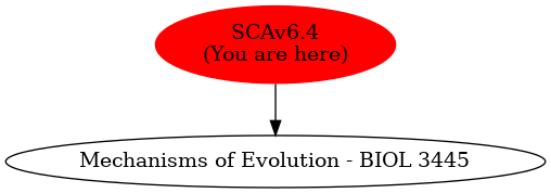 Graph of models related to 'SCAv6.4' 