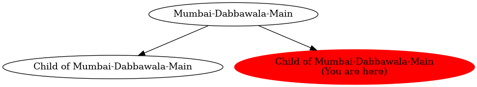 Graph of models related to 'Child of Mumbai-Dabbawala-Main' 