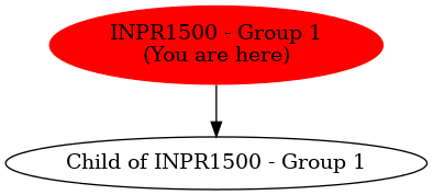 Graph of models related to 'INPR1500 - Group 1' 