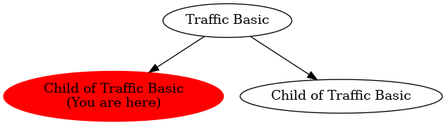 Graph of models related to 'Child of Traffic Basic' 